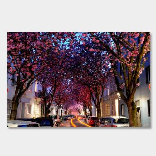 Template-shop-motive-47