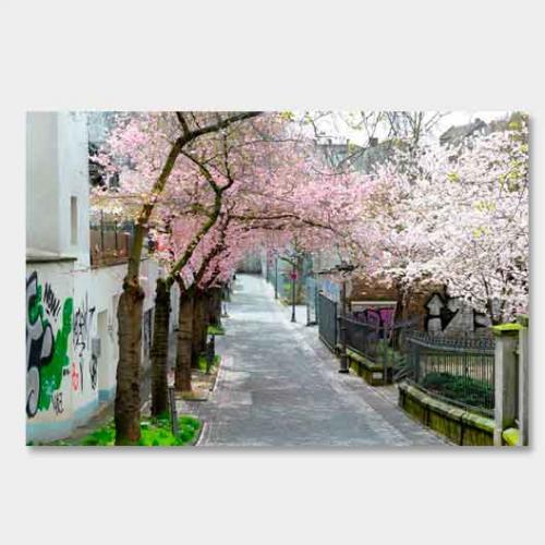 Template-shop-motive-49