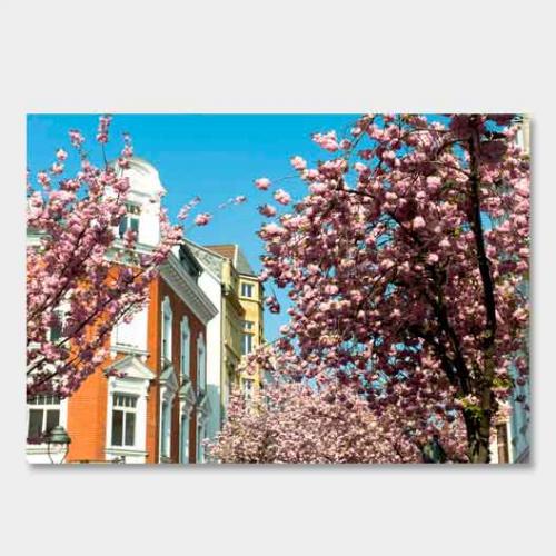 Template-shop-motive-50