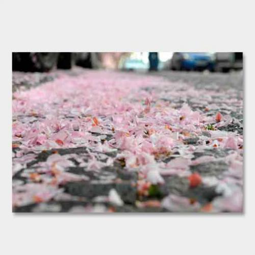 Template-shop-motive-51