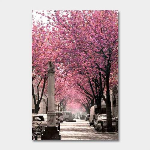 Template-shop-motive-52