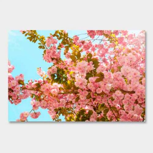 Template-shop-motive-9