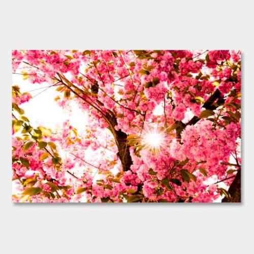 Template-shop-motive-ebenen-7