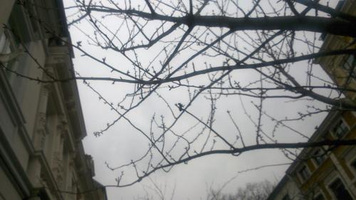 DO-26.03.15-DSC_1286