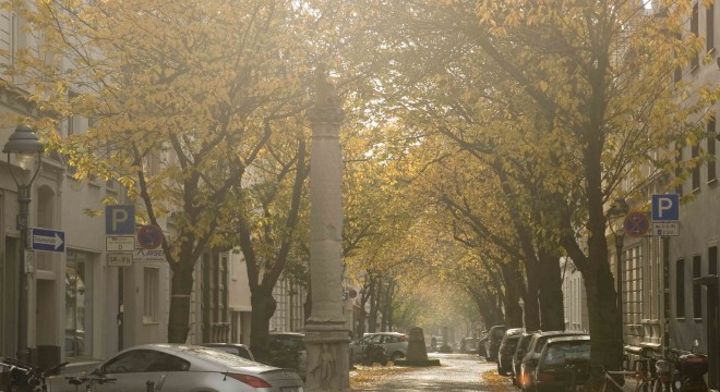 Herbst-bonner-kirschblütenallee