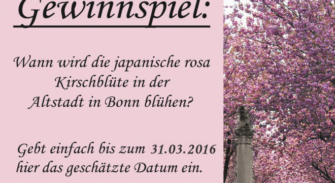 Auflösung Gewinnspiel