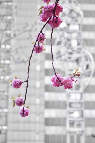 111-St.Neuhaus-01 (1)