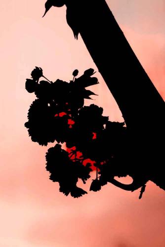 111-St.Neuhaus-02 (1)