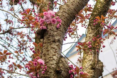 001-2019-wett-M.Hörmedinger-IMG 7112