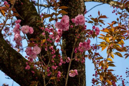 001-2019-wett-M.Hörmedinger-IMG 7119