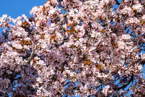 001-2019-wett-M.Hörmedinger-IMG 7123