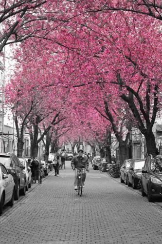 002-2019-wett-K.-Matting-IMG 20190406 135133