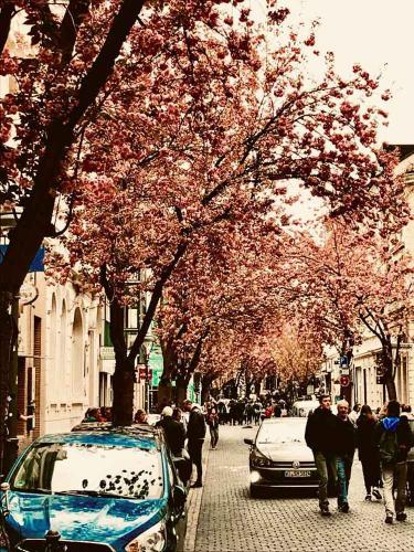 003-2019-wett-Chr.Inhoffen-3