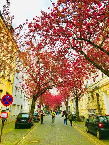 003-2019-wett-Chr.Inhoffen-IMG 7969