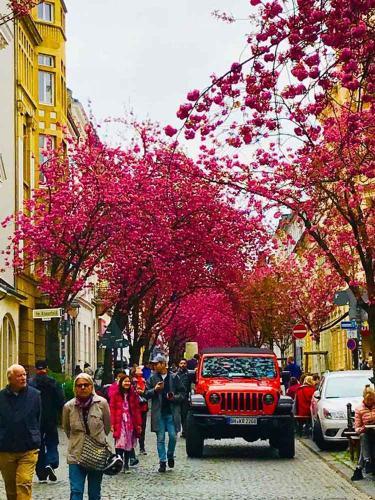 003-2019-wett-Chr.Inhoffen-IMG 7975