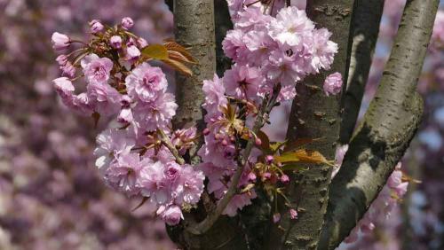 004-2019-wett-S.Döring-1