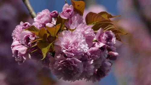 004-2019-wett-S.Döring-2