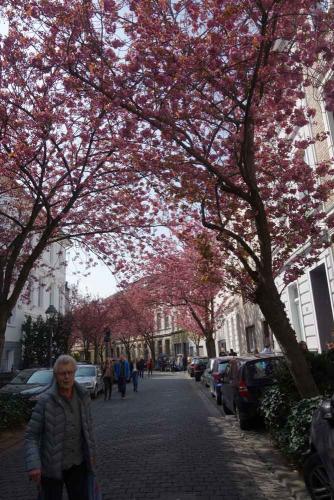 005-2019-wett-I.Sondermann-1