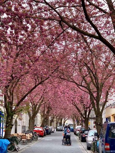 005-2019-wett-L.Rommerskirchen-1