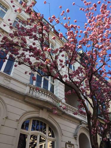 005-2019-wett-L.Rommerskirchen-3