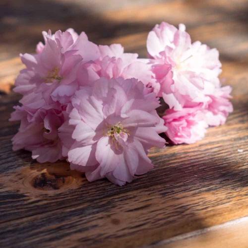 007-2019-wett-M.Huismann-1