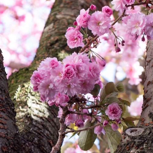 007-2019-wett-M.Huismann-3