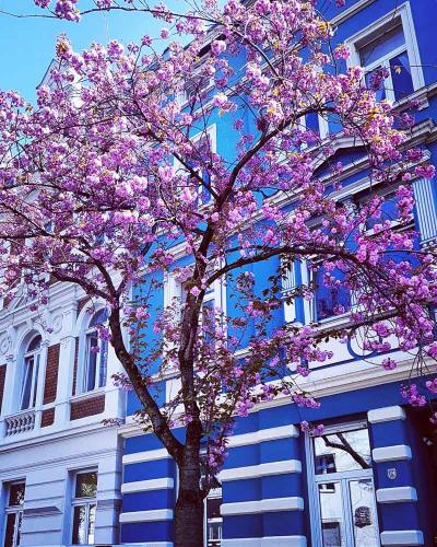 013-2019-S.Weingarten-1