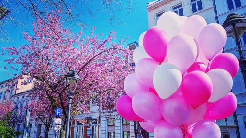 013-2019-S.Weingarten-2