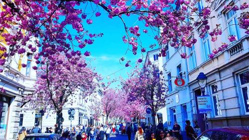 013-2019-S.Weingarten-3