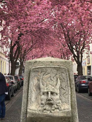 014-2019-B.Göldner-2