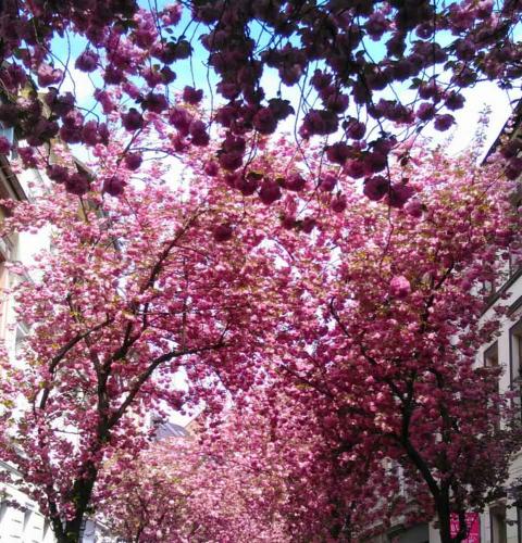 022-2019-H.Oeckinghaus-1