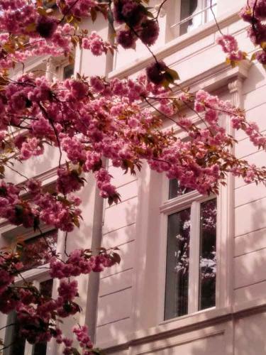 022-2019-H.Oeckinghaus-2