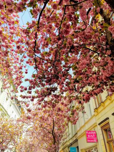 022-2019-H.Oeckinghaus-3