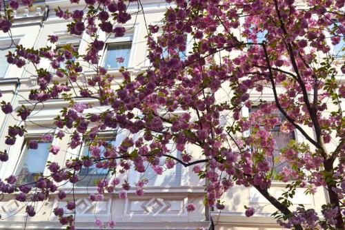 023-2019-L.Engelskirchen-1