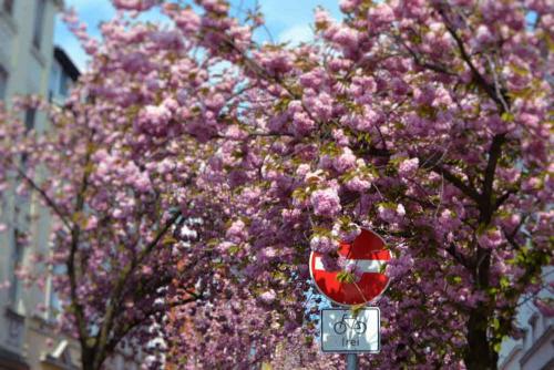 023-2019-L.Engelskirchen-2