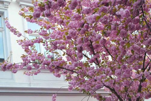 023-2019-L.Engelskirchen-3