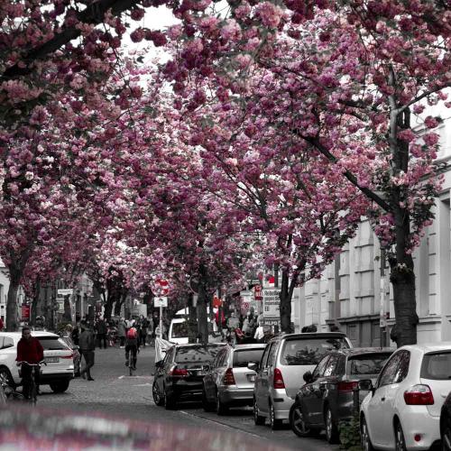 026-2019-A.Reinhardt-03