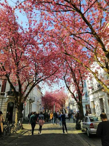 027-2019-C.Martin-02