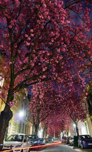 028-2019-M.Radermache-02