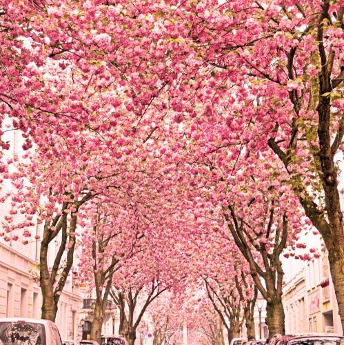 029-2019-K.Ryffel-02