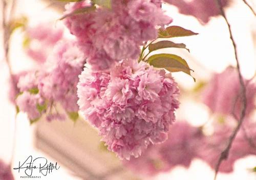 029-2019-K.Ryffel-03