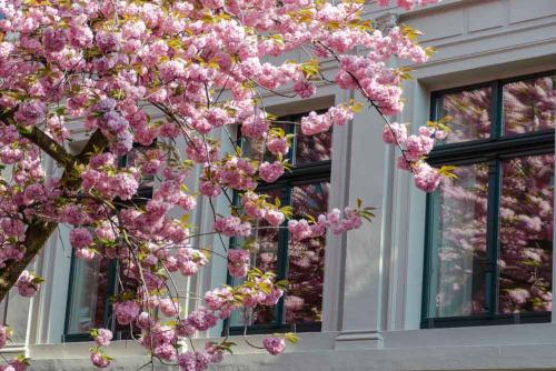 037-U.Jünger-Geier-01