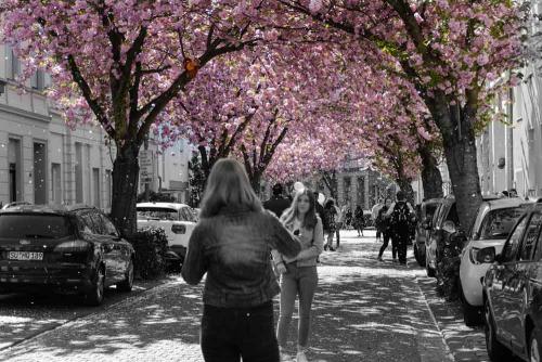 037-U.Jünger-Geier-03