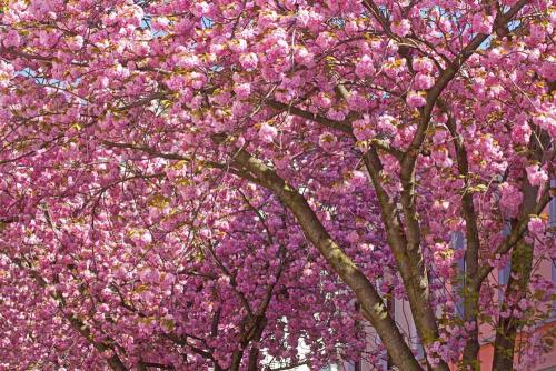 056-E.Schittenhelm-01