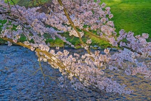 056-E.Schittenhelm-03