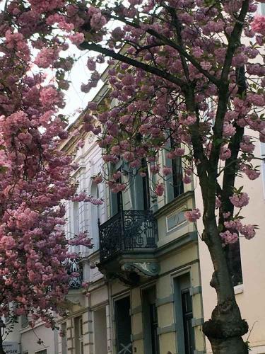 073-A.Schlichting-01