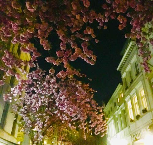 073-A.Schlichting-02