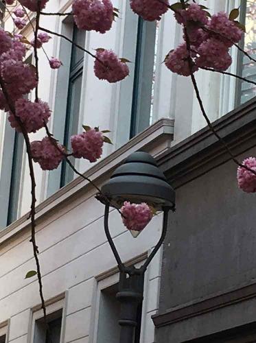 073-A.Schlichting-03