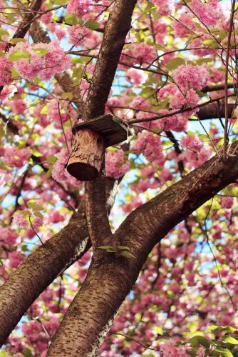 095-D.Spiridonova-01