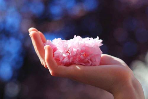 095-D.Spiridonova-03